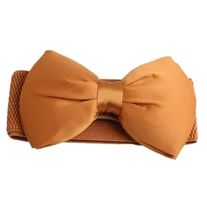 Gedetailleerd overzicht van de chiffon strik en elastische band op de gouden grote riem