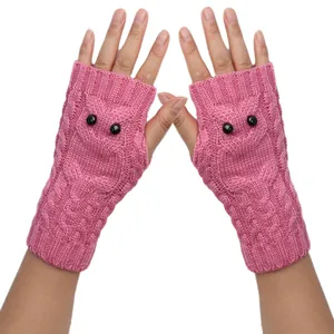 Detailopname van roze gebreide vingerloze handschoenen met een schattig uilenpatroon en knopen
