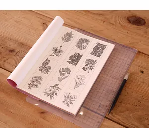 Gros plan de motifs floraux détaillés dans un livre créatif de découpe de papier.