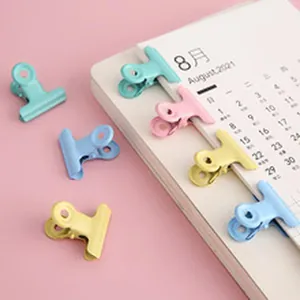 Macro view of colorful pastel metal hinge clips organized on an August 2021 calendar