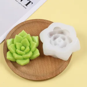 Vue détaillée du moule à succulentes en silicone blanc à côté de la plante décorative