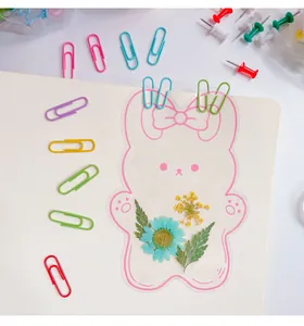 Colorful macaron paper clips and push pins used on a desk notepad for organization