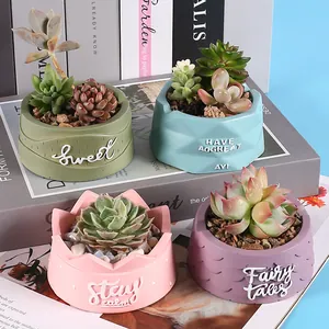 Detailed view of four colorful DIY succulent pots featuring embossed English quotes and plants