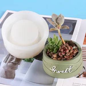 Detail showing a white silicone mold alongside a finished green succulent planter