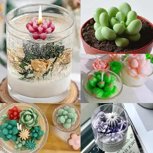 Collage of succulent-shaped aromatherapy candles in various colors and jars