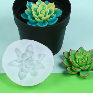 Detailed view of a succulent plant silicone mold with sample finished products