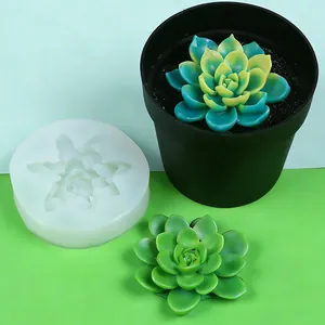 Close-up detail of stereoscopic succulent silicone mold with finished resin plant crafts