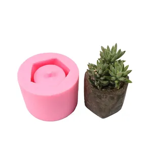 Moule hexagonal en silicone rose pour pots de succulentes DIY avec pot en béton fini