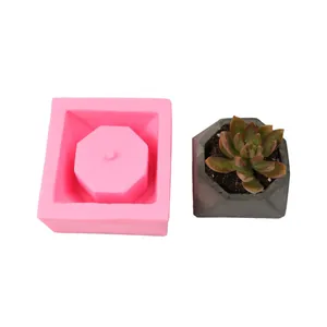 Moule en silicone octogonal rose avec un pot de succulentes à l'aspect pierre fini.