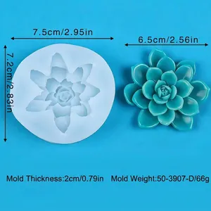 Detailed view of succulent silicone mold with dimensions and finished product sample