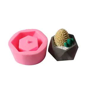 Moule en silicone hexagonal pour pots de fleurs DIY et exemple fini