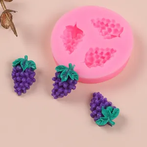 Detailed macro shot of pink silicone grape mold alongside three purple fruit pieces.