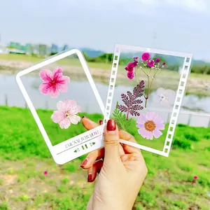 Transparent DIY dried flower bookmarks featuring aesthetic frames and music player UI
