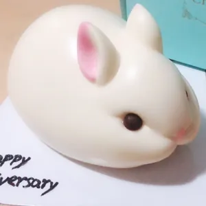 Stampo in silicone a forma di coniglio 3D per torte mousse, cioccolato e sapone