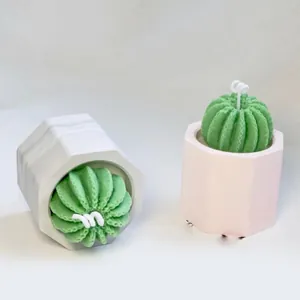 Gedetailleerde close-up van cactus aromatherapie was in hexagonale gipsen potten.