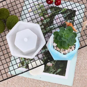 Vue détaillée d'un moule en silicone hexagonal et d'un pot de succulente marbré fini.