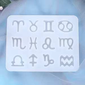 Close-up detail of a white silicone mold featuring twelve constellation zodiac symbols