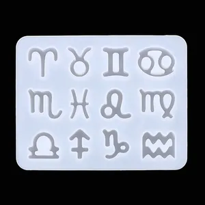 Detailed top-down view of high-quality silicone mold with 12 zodiac sign cavities for resin