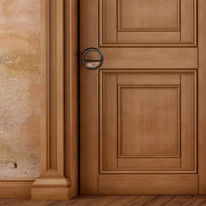 Modern circular resin door handle detail on a classic wooden door panel