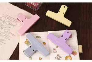 Set di quattro mollette magnetiche color Morandi esposte su un taccuino aperto.