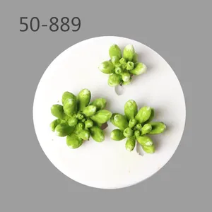 Professional succulent silicone molds for DIY fondant and chocolate cake baking decorations