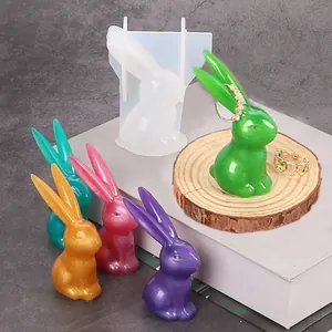 Vista macro ravvicinata dello stampo in silicone per coniglio 3D con ornamenti colorati