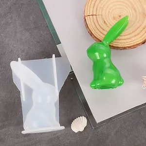 Vista dettagliata dello stampo in silicone coniglio 3D fai da te con campione in resina