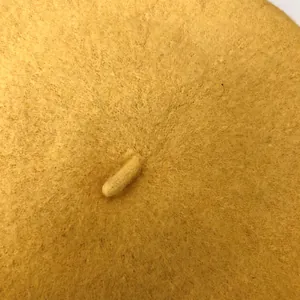 Close-up of yellow wool beret texture showing top detail and soft felt material