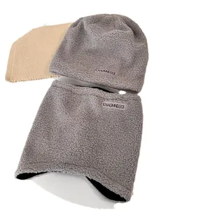 Ensemble bonnet en laine d'agneau grise et cache-cou assorti pour l'hiver en extérieur