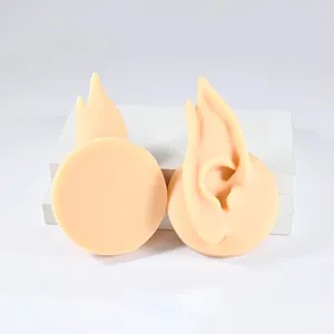 Detailed macro view of realistic silicone ear models for jewelry and piercing display