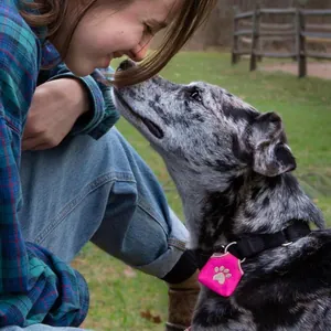 Primer plano de un silenciador de placa rosa con huella de pata en un collar negro para perro.