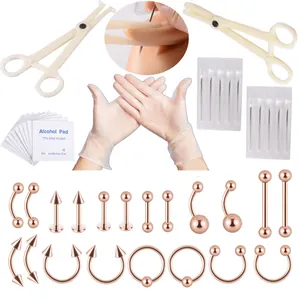 Detaillierte Ansicht des 44-teiligen Piercing-Sets mit Roségoldschmuck