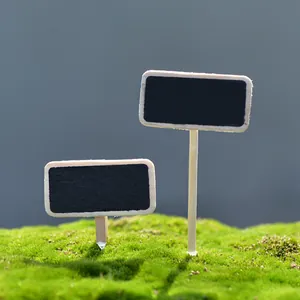 Mini ardoises décoratives en bois pour paysages de mousse et plantes succulentes.