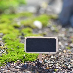 Petit panneau ardoise en bois pour décoration de micro-paysage et succulentes