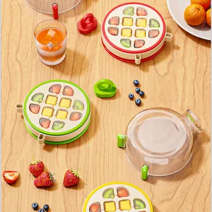 Molde circular creativo para cubitos de hielo con tapa para hielo con fruta fresca