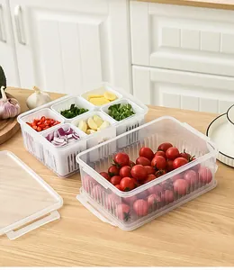 Square divided kitchen storage containers with drainage slots for scallion and fruit