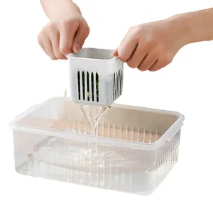 Clear square drainable food storage container for scalloped onions ginger and garlic