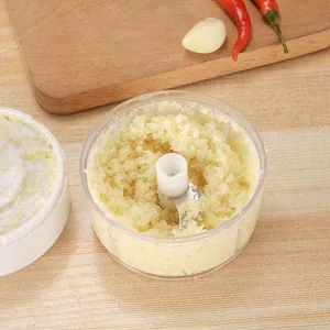 Manual mini garlic chopper and mincer tool for kitchen ginger and chili mashing