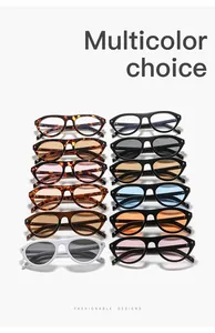 Collection of stylish retro cat-eye sunglasses with metal rivets in multicolor options