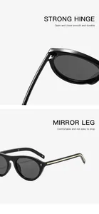 Detail of vintage cat-eye sunglasses with rivets and durable strong hinge