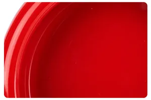 Macro detail view of the smooth red food-grade silicone surface on a storage box