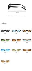 Vista dettagliata degli occhiali da sole retrò con dimensioni e dieci varianti di colore.