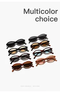 Display of vintage oval sunglasses for women featuring diverse frame and lens colors