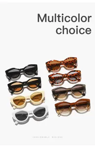 High-quality detail of various vintage polygonal cat-eye sunglasses in multiple colors