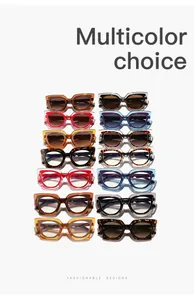 Variety of colorful cat-eye sunglasses and clear lens glasses in a stylish grid display