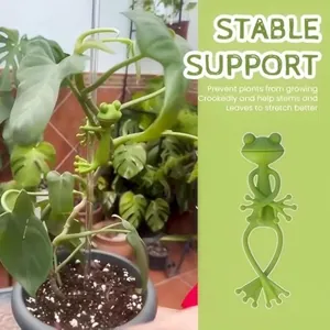 Detail view of green frog plant support stand for steady stem growth and shaping