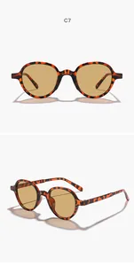 Macro view of stylish round tortoiseshell sunglasses with tinted brown lenses in detail