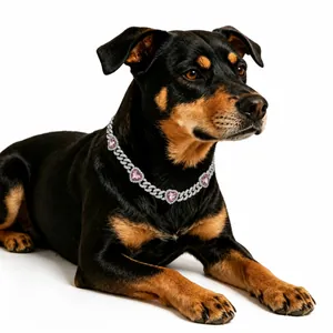 Detailed close-up view of the luxury pink heart Cuban link pet collar on a black dog