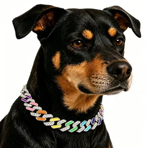 Close-up of a dog wearing an iced-out Cuban link collar with colorful enamel accents