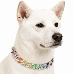 Detail shot of a rainbow iced-out Cuban link pet necklace on a white dog model